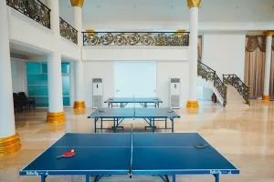 Table Tennis
